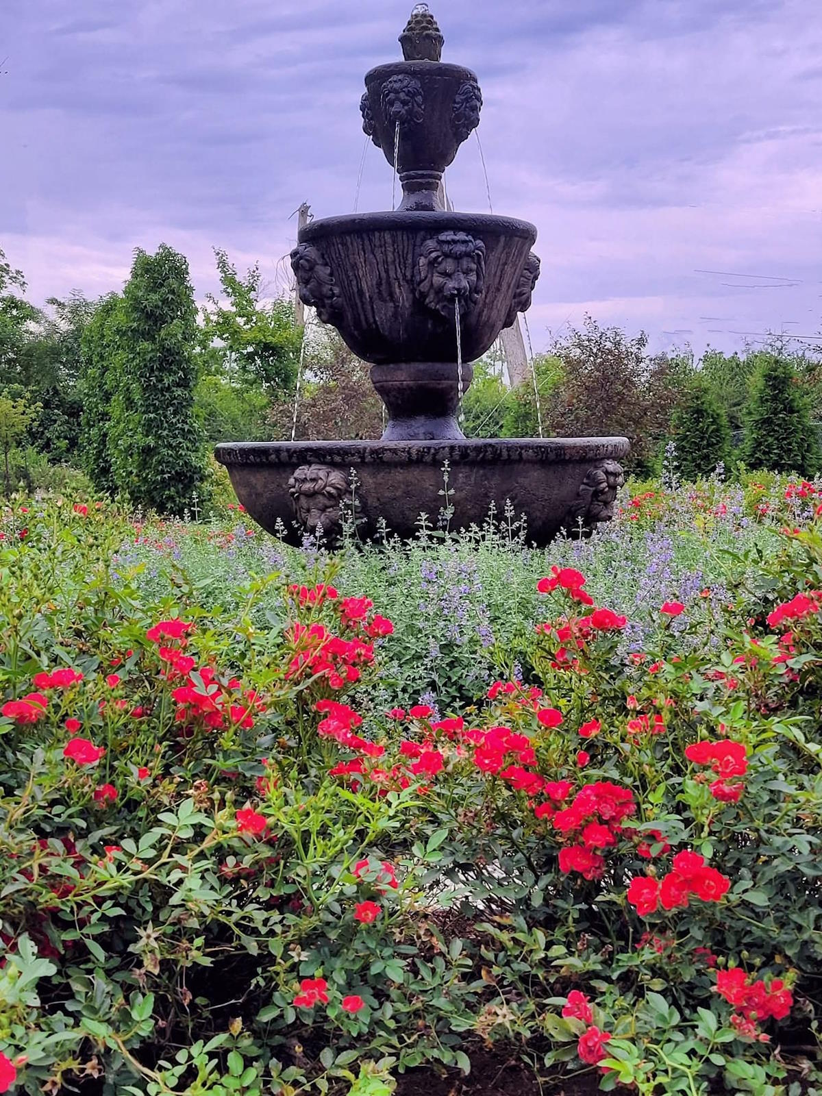 The Everwillow garden fountain