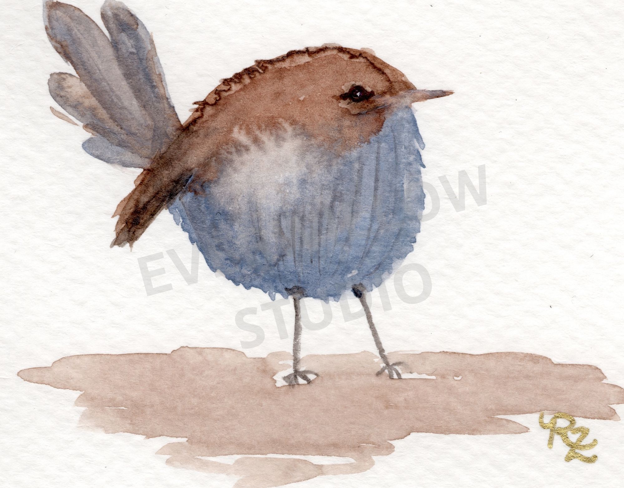 The Wren — original watercolor fine art print by Rose
